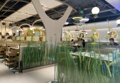 餐廳生意不好應該怎么辦，餐飲老兵的8條建議：其中有幾條餐飲人都踩過！